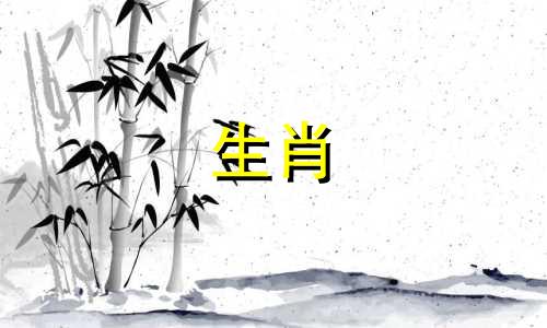 马和马结婚好2019马结婚月