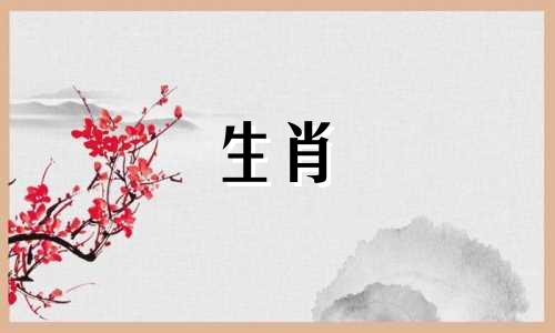 为什么马女对现代男人失望