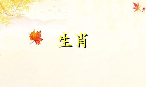 让骑士着迷的技巧和技巧