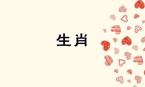 马和什么动物不匹配谁是最好的伙伴