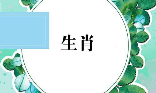 你的马今年运势如何?读