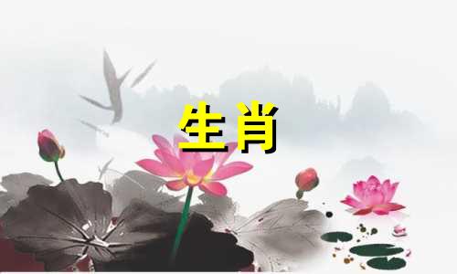 马和马在1990年匹配吗?马和马是怎么结婚的?