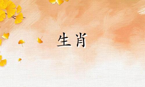 马追求爱人的必备动作