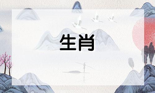 马男女不敢说话的方面有哪些?