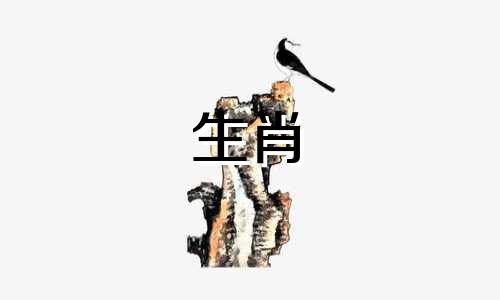 今年桃花运如何?2020桃花占卜