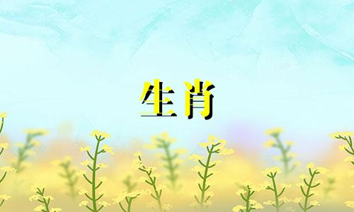 为什么马族男孩对爱情失去兴趣