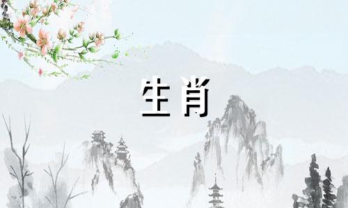 作为爱人，你想说什么