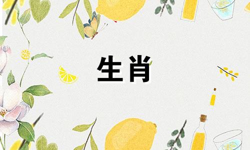 你的《马》前任教会了你什么