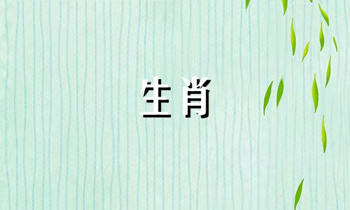 什么星座王是马他财是桃花打贵族分析