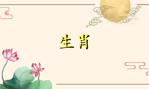 蛇女如何驯服不能回家的男友