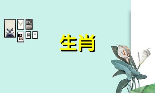 蛇是如何实现职业攻击的