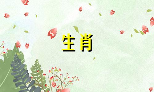 蛇对未婚怀孕有什么看法