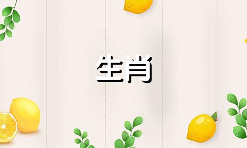 Snake在什么情况下没有任何隐藏