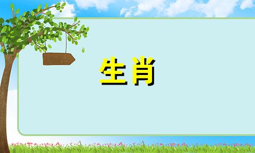 蛇结婚后到底是什么样子?