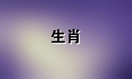 蛇女会把她的未来托付给谁呢