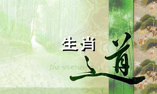 蛇爱一个人时会做什么蠢事