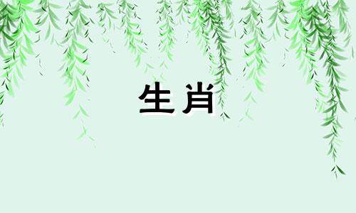 蛇谈恋爱情商不高怎么办