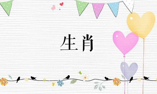 男人属于鸡，女人属于属鼠?