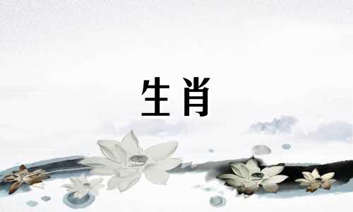 女人属于牛，男人属于鸡匹配吗?