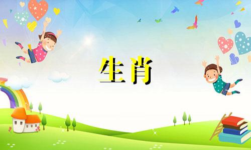 女人是马,男人是属龙吗?