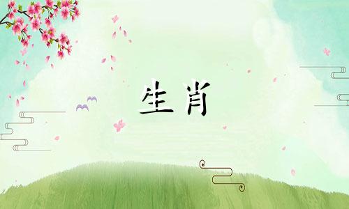 女人是属龙,男人是猴吗?