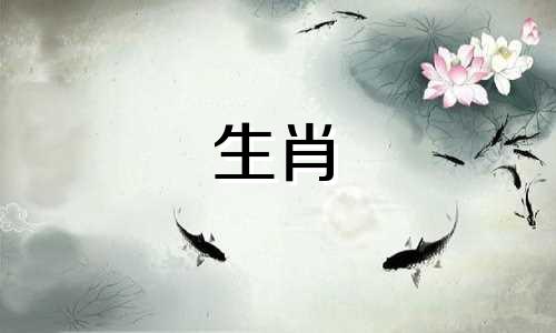 女人属于狗，男人属于鸡匹配吗?