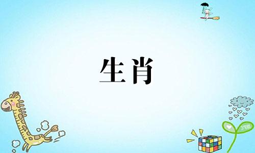 女人属于狗，男人属于属龙匹配吗?