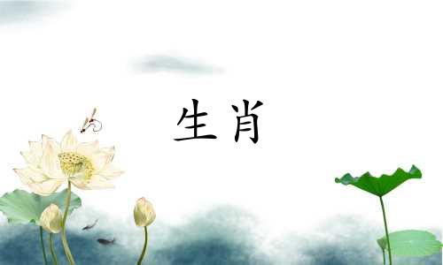 女人属于鸡，男人属于蛇匹配吗?