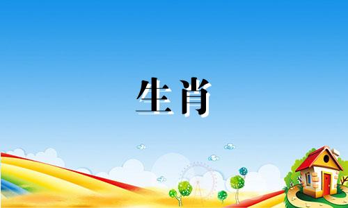 女人属于属鼠，男人属于狗吗?