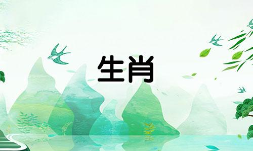 女人是绵羊，男人是兔子吗?