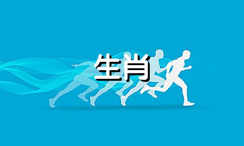 雌虎，雄公鸡，雌虎能活一辈子吗?