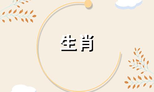 雌性是属鼠，雄性是绵羊?