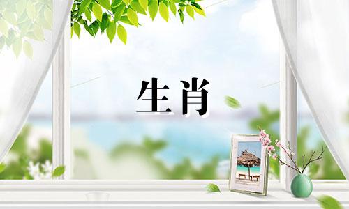 女人可以是羊，男人可以是牛吗?