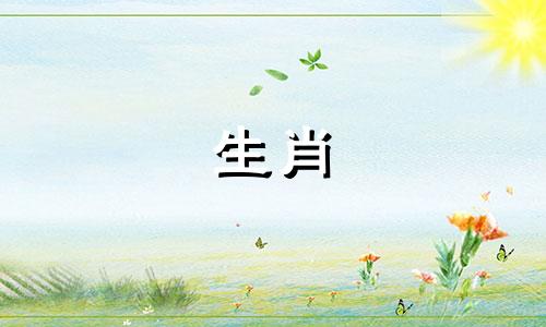 女人是蛇，男人是属龙?