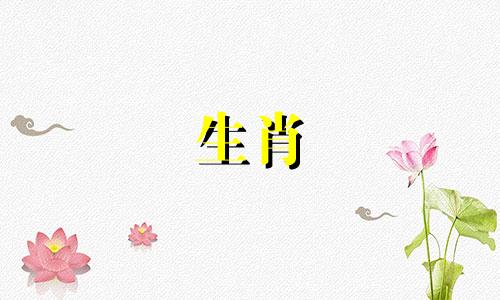 雌性是猪，雄性是属鼠