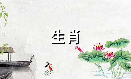 女人是属龙，男人是羊吗?