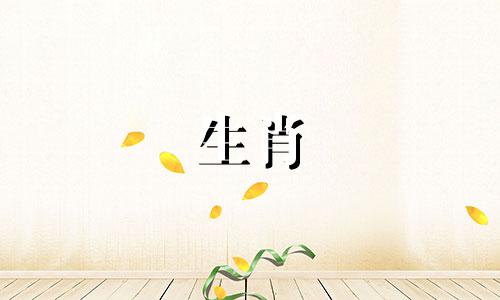 女人是兔子，男人是蛇吗?