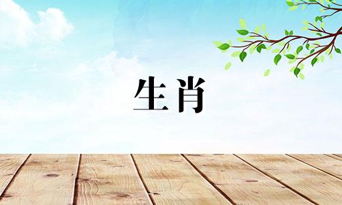 属鼠和属虎可以交配吗?