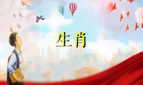 女人是兔子，男人是属虎吗?