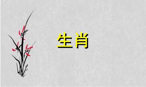 女性是猪，男性是属猴?