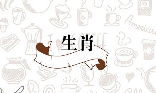 这头牛和狗属于一起。这头牛和狗属于一起吗?