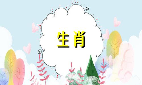 动物属虎和兔子是相容的吗?