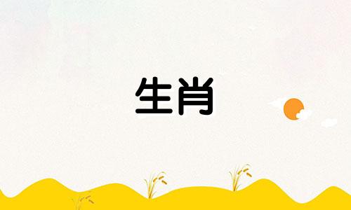 动物羊和动物属鼠兼容吗?