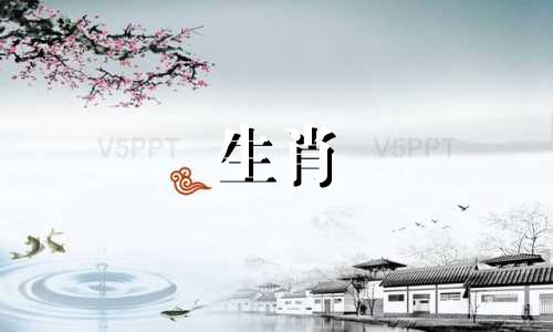 动物兔子和属龙兼容吗?