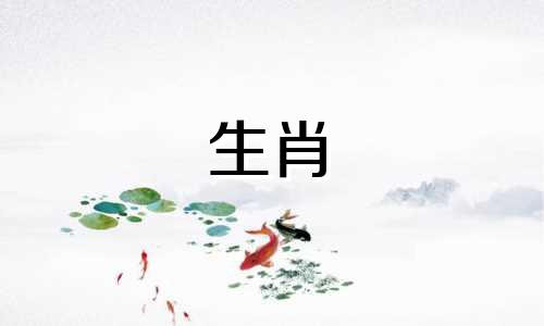 动物属鼠和动物属虎能兼容吗?