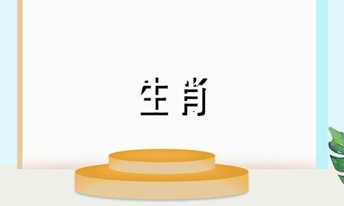 动物小鼠和动物属牛兼容吗?