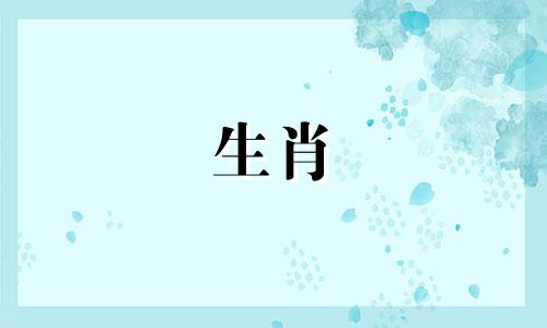 动物蛇和动物兔子匹配吗?