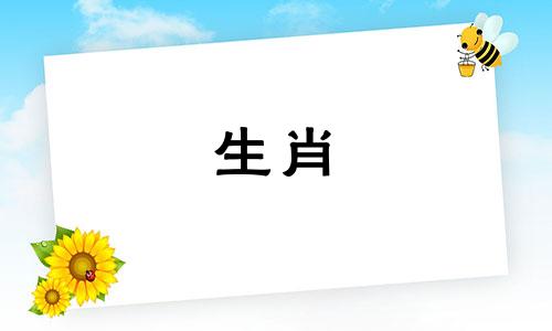 动物蛇和动物鸡匹配吗?