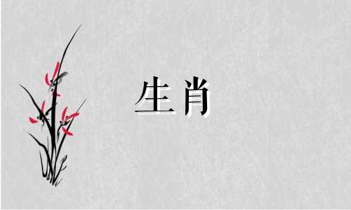 动物属猴和动物属鼠兼容吗?