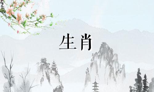 动物蛇和动物狗匹配吗?